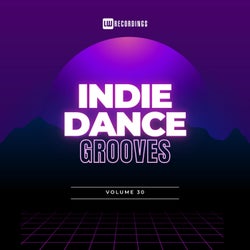 Indie Dance Grooves, Vol. 30