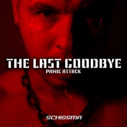 The Last Goodbye