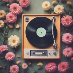 Dream