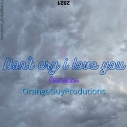 Don't Cry I Love You (RMX)