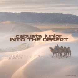 Into The Desert