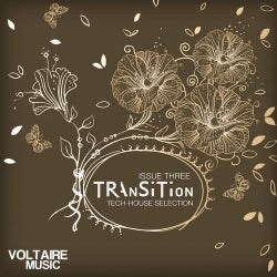 Transition Issue 03
