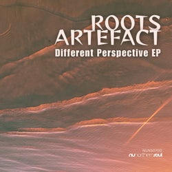 Different Perspective EP