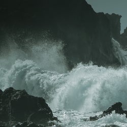 The Waves