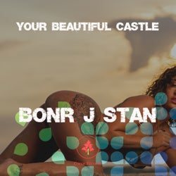Your beautiful Castle