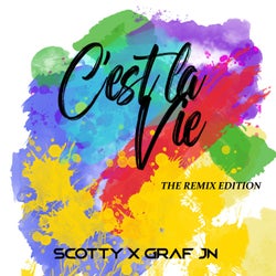 C'est la Vie (The Remix Edition)