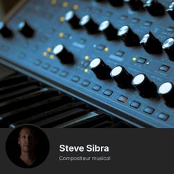 10 Tunes Of Steve Sibra