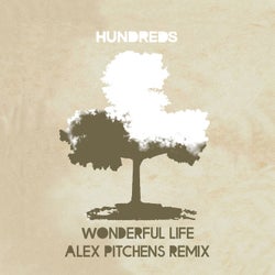 Wonderful Life (Alex Pitchens Remix)