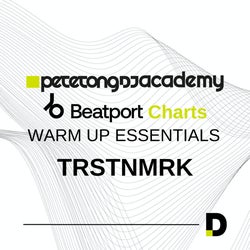 Pete Tong DJ Academy Warm Up Essentials Pt 2