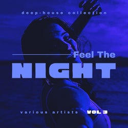 Feel The Night (Deep-House Collection), Vol. 3
