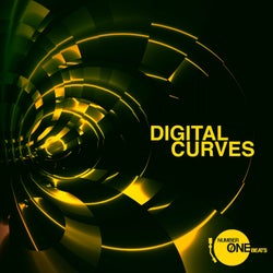 Digital Curves