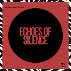 Echoes Of Silence