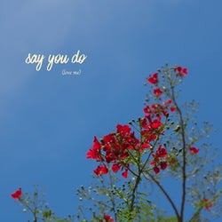 Say You Do (Love Me)