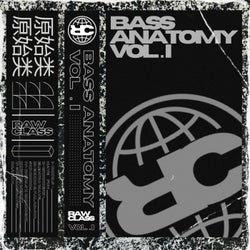 Bass Anatomy (Vol. 1)