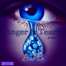 Anger & Tears (Il Adore) - All The Remixes