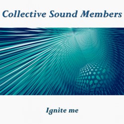 Ignite Me