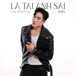 Là Tại Anh Sai (Remix)