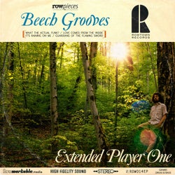 Beech Grooves Extended Player One