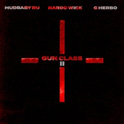 Gun Class II