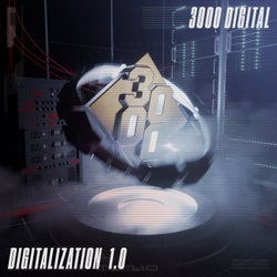 Digitalization 1.0