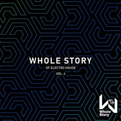 Whole Story Of Electro House Vol. 4