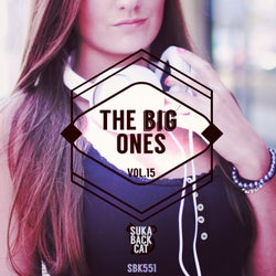 The Big Ones, Vol. 15