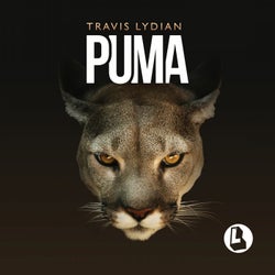 Puma (TKO Remix)