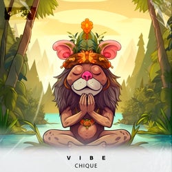 Vibe