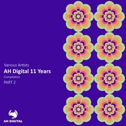 AH Digital 11 Years, Pt. 2