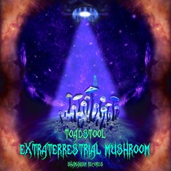 Extraterrestrial Mushroom