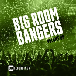 Big Room Bangers, Vol. 08