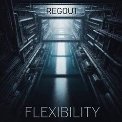 Flexibility