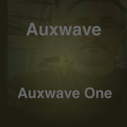 Auxwave One