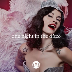 One night in the Disco  (Original Mix)