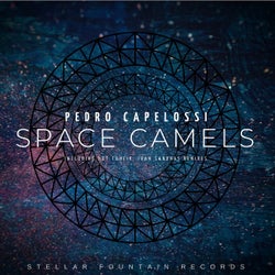 Space Camels