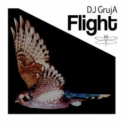 Flight