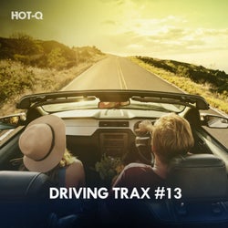 Driving Trax, Vol. 13