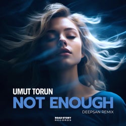 Not Enough (Deepsan Remix)