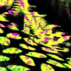 EYEAM003
