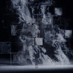 Digital Remnants