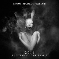 2011 The Year Of The Rabbit