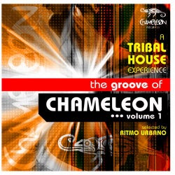 The Groove of Chameleon, Vol. 1 (A tribal House Experience, selected By Ritmo Urbano)
