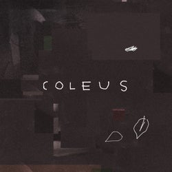 Coleus