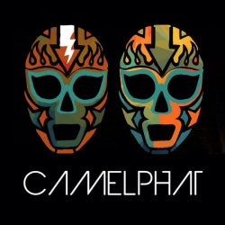 CamelPhat Constellations Chart