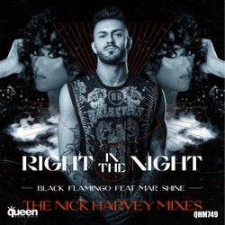 Right in the Night (The Nick Harvey Mixes)