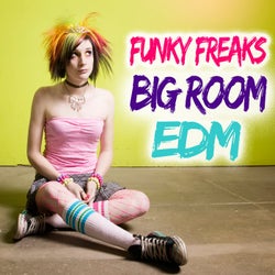 Funky Freaks Big Room EDM