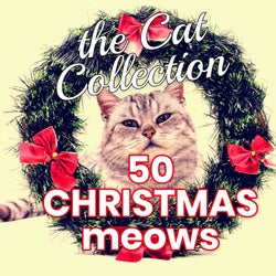 The Cat Collection 50 Christmas Meows