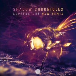 Supernature (N & W Remix)