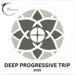 Deep-Progressive Trip
