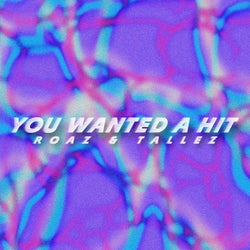 You Wanted a Hit - Vip Mix